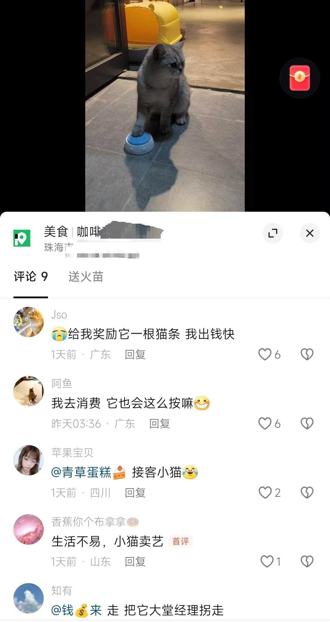 广东一咖啡店猫猫会按铃招揽顾客？这波操作直接封神！