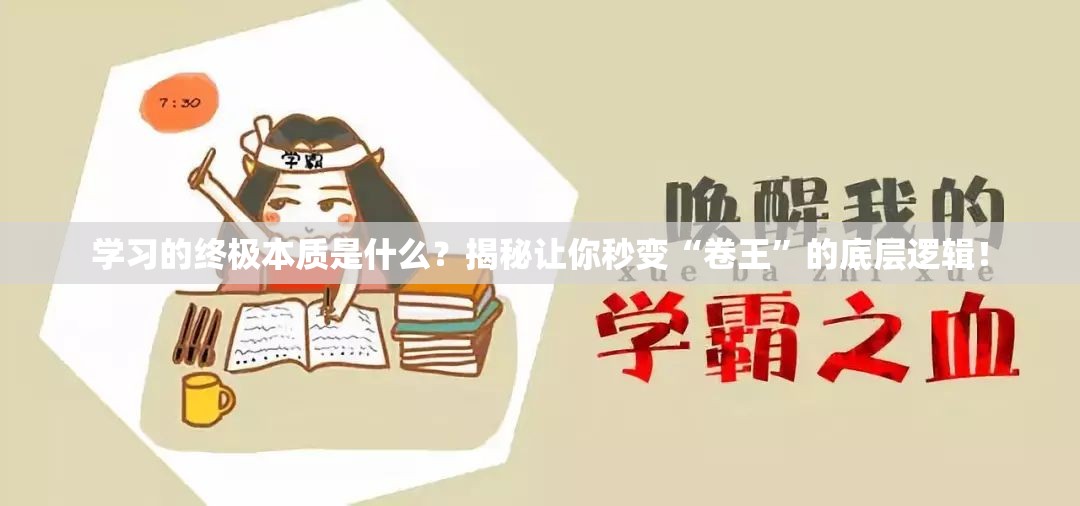 学习的终极本质是什么?