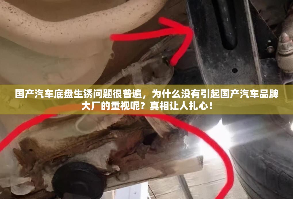 为什么没有引起国产汽车品牌大厂的重视呢？