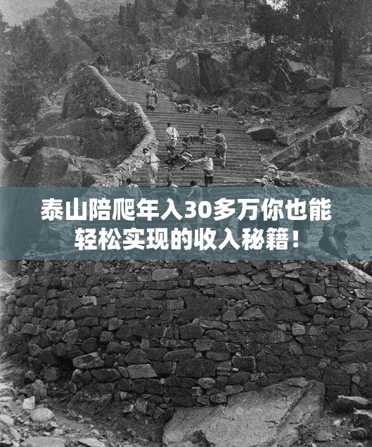 泰山陪爬年入30多万你也能轻松实现的收入秘籍！