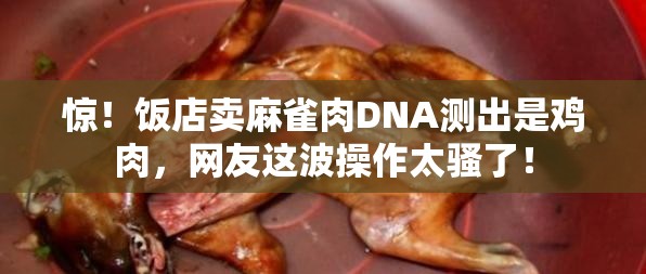 惊！饭店卖麻雀肉DNA测出是鸡肉，网友这波操作太骚了！