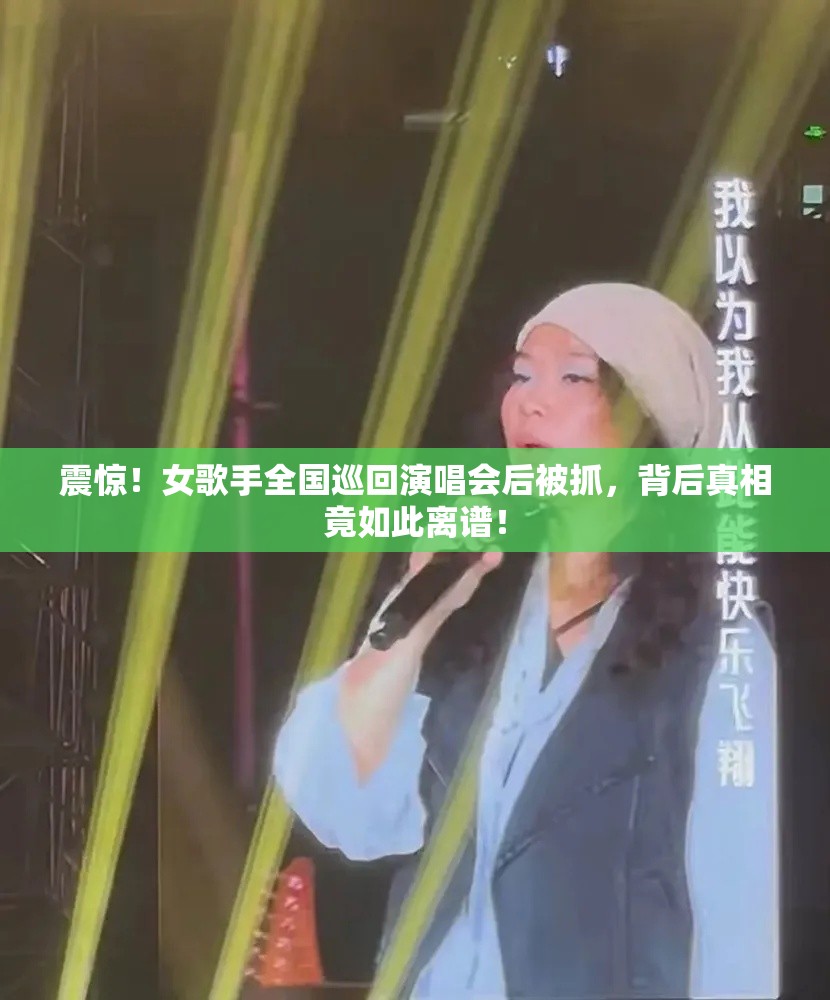 女歌手全国巡回演唱会后被抓