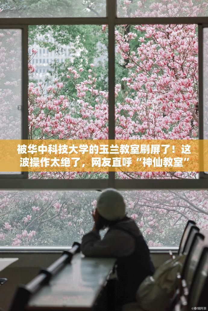 被华中科技大学的玉兰教室刷屏了！这波操作太绝了，网友直呼“神仙教室”！