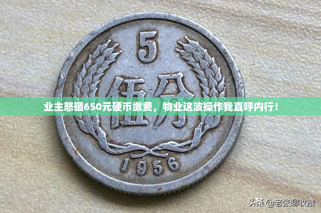 业主怒砸650元硬币缴费，物业这波操作我直呼内行！