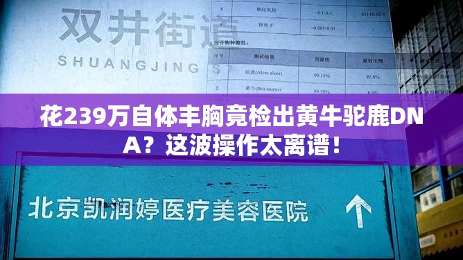 花239万自体丰胸竟检出黄牛驼鹿DNA？这波操作太离谱！