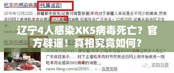 辽宁4人感染XK5病毒死亡?官方辟谣