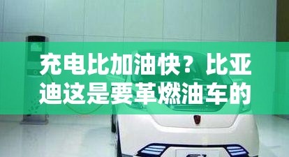 充电比加油快？比亚迪这是要革燃油车的命啊！