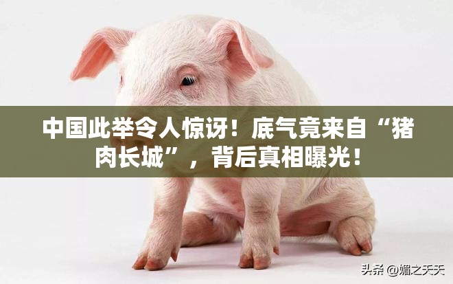 中国此举令人惊讶！底气竟来自“猪肉长城”，背后真相曝光！