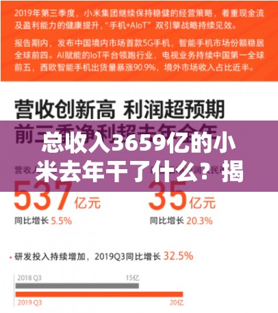 总收入3659亿的小米去年干了什么？揭秘科技巨头的“钞能力”！